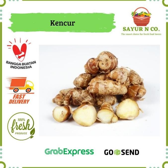 

Kencur | Sayur N Co Bekasi nUg