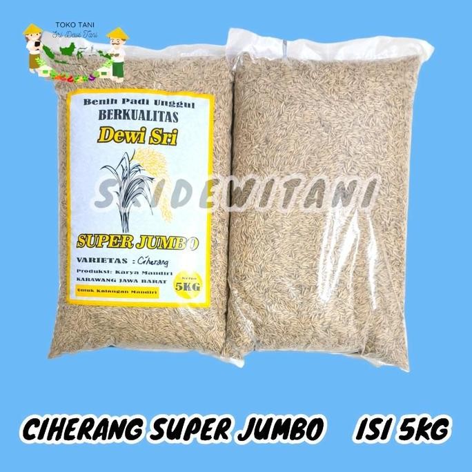 Bibit Padi Ciherang 5 KG Super Jumbo Benih Unggul Berkualitas Idaman Para Petani Unggul Tanaman