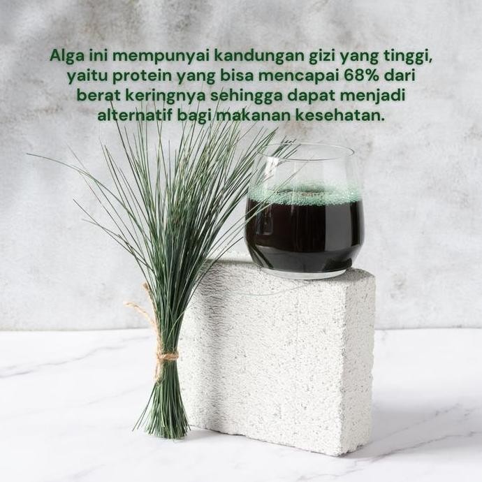 

Sale Bubuk Spirulina Organik The Little Herbalist 250 Gram - Sertifikat Bpom, Organik, Halal