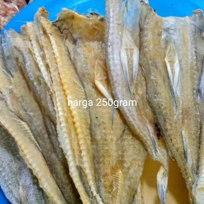 

Grosir Ikan Jambrong Tipis / Ikan Sitting Tipis 250Gr
