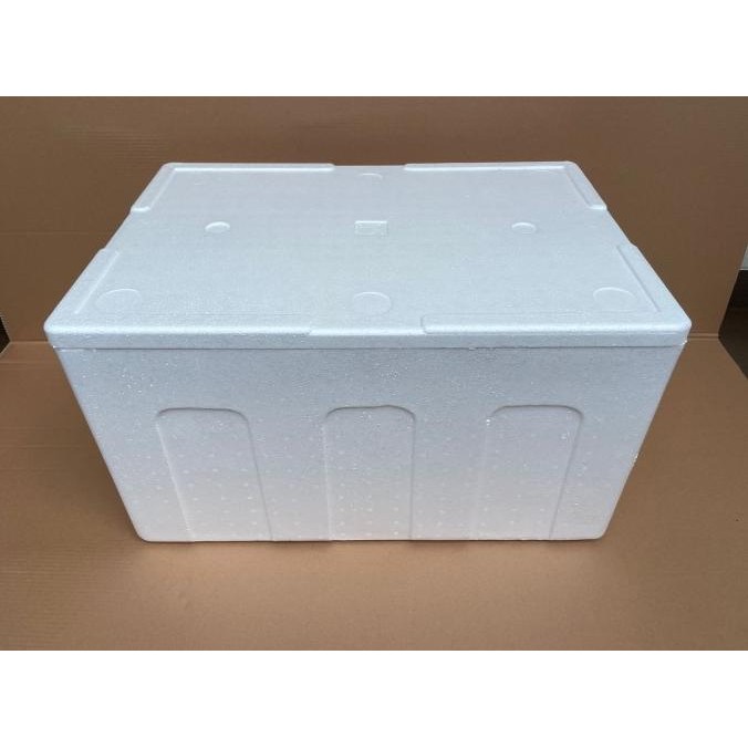 Styrofoam Box 60KG 70 x 49 x 40cm - Box Foam