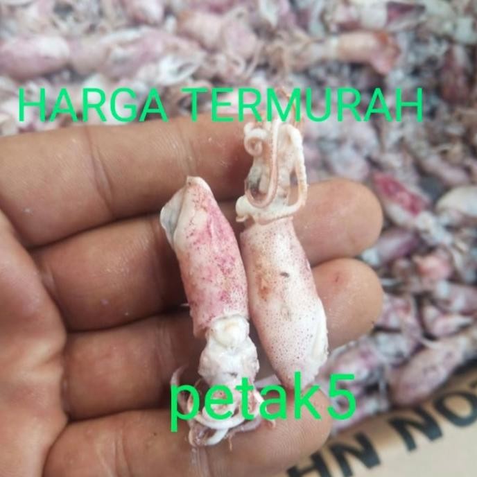 

Promo Cumi Asin Grosir 10Kg Sedang