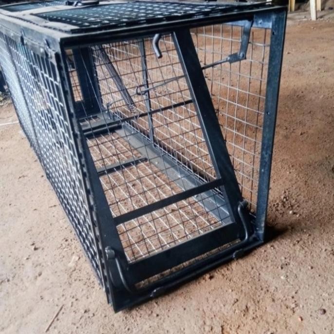 Murah Jebakan Ular Uler|Jebakan Biawak|Perangkap Biawak|Jebakan Anjing