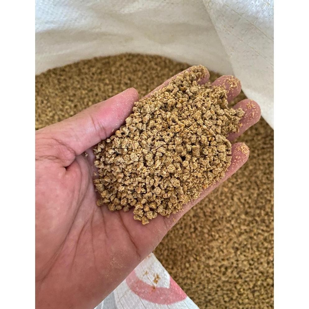 edf-62 SD83 BR BW WONOKOYO 1 KG BROILER CRUMBLE VOER PAKAN MAKANAN AYAM UNGGAS BEBEK BURUNG PUYUH BU