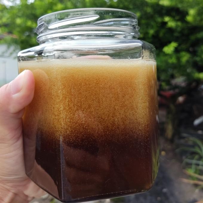 

Madu Hutan Liar Pahit Pelawan Asli Bangka 800Gram Original Best Seller
