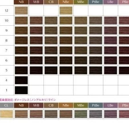 shiseido primience hair color pewarna rambut natural brown + oxydan