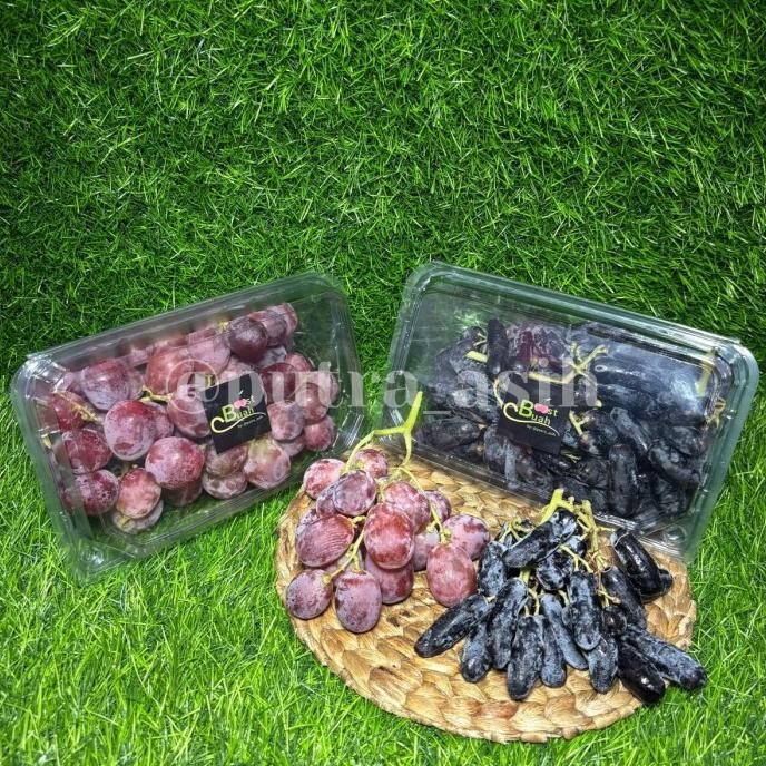 

Sale Paket Mix Anggur / Anggur Mix