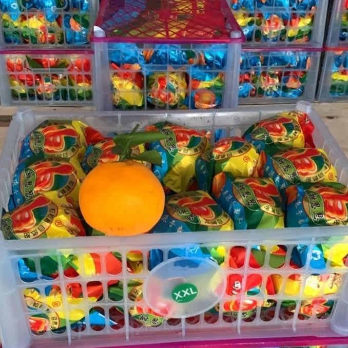 

Sale Jeruk Dekopon Papakan Per L Dus