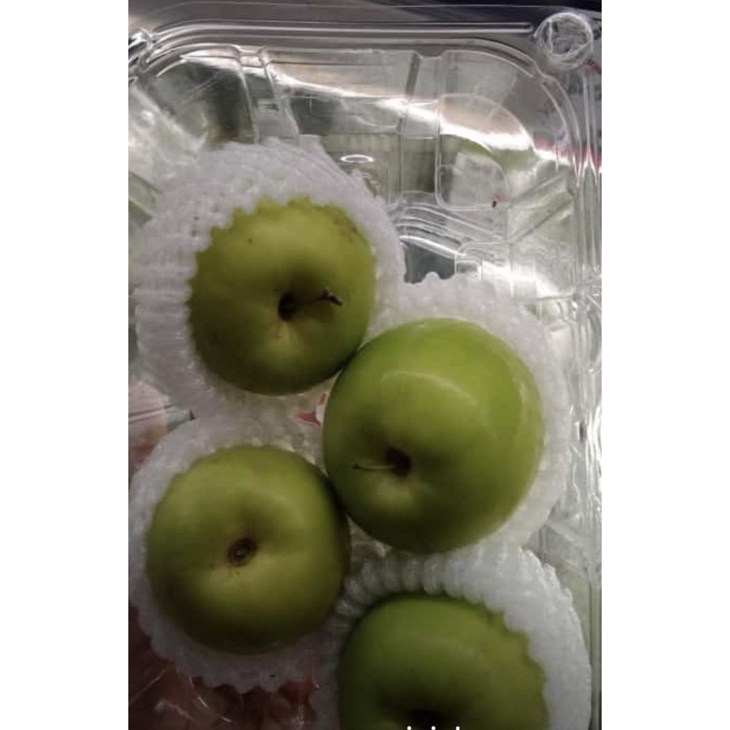 

Grosir Pear Jujube Jumbo Garing Sweet 1 Kg