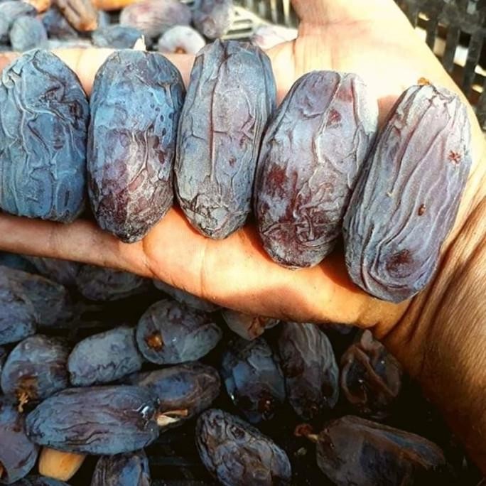 

Sale 500Gr Kurma Mejol Curah 500 Gram Korma Medjol Medjool Palestina Segar