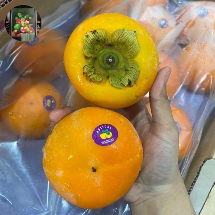 

Murah Buah Persimon Kesemek Infort Per Pack 2 Buah