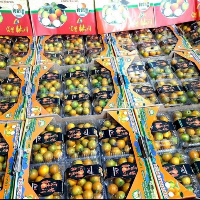 Murah Jeruk Kimkit Madu Manis Fresh Per Dus 400Gr X12Pck Per Dus