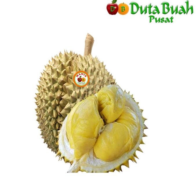 

Sale Duta Buah Durian Monthong Palu (+-3.5Kg-3.99Kg/Buah)