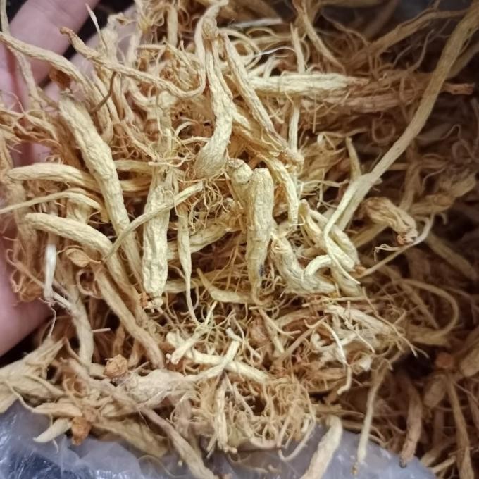 

Promo Akar Serabut Ginseng 1 Kg