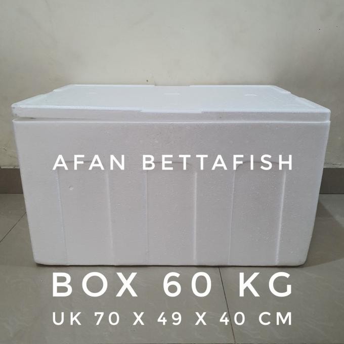 

Styrofoam Box 60Kg 70 X 49 X 40 Cm Box Sterefoam 60 Kg Best Seller