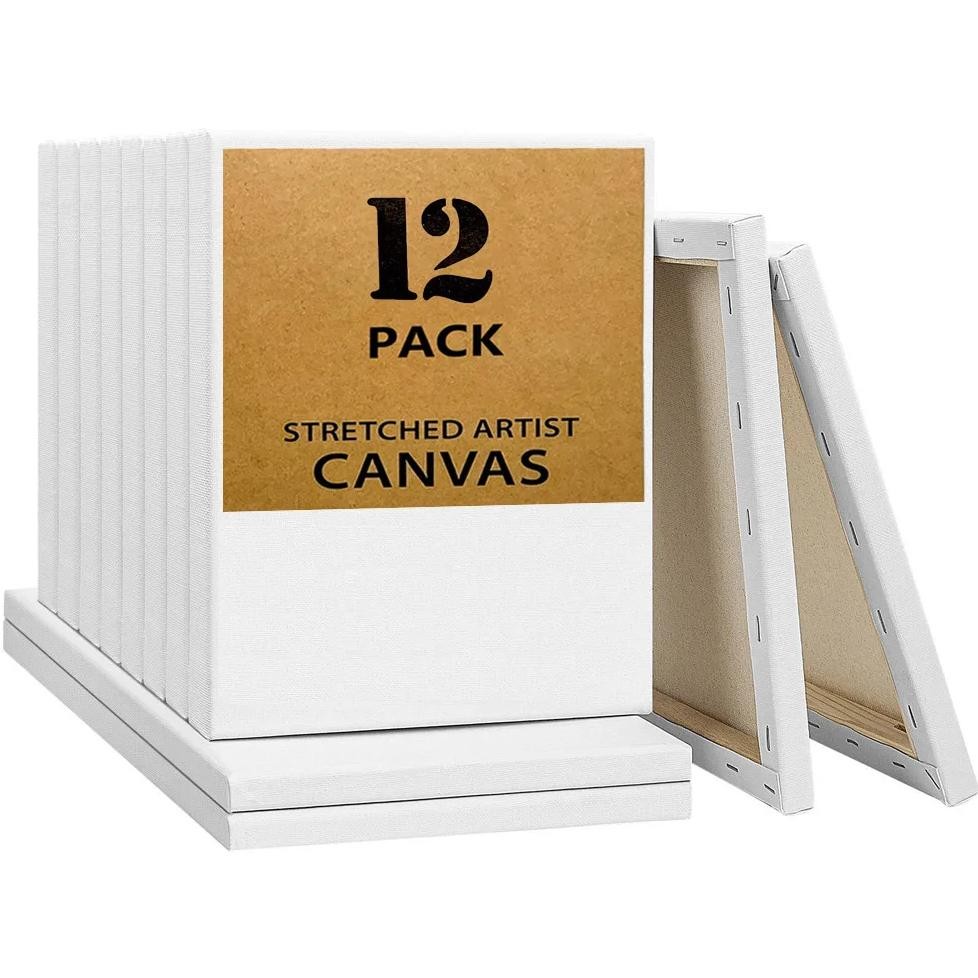 

Set Of 12 White Blank Canvas For Painting 100% Cotton Art Supplies Canvas For Acrylic Paint/Pouring/Oil Paint/Watercolor/Gouache