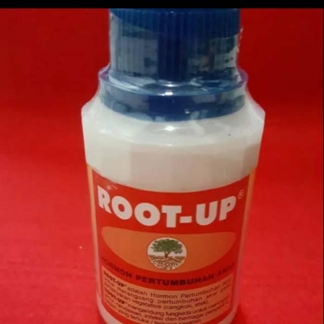 Root Up Penumbuh Akar