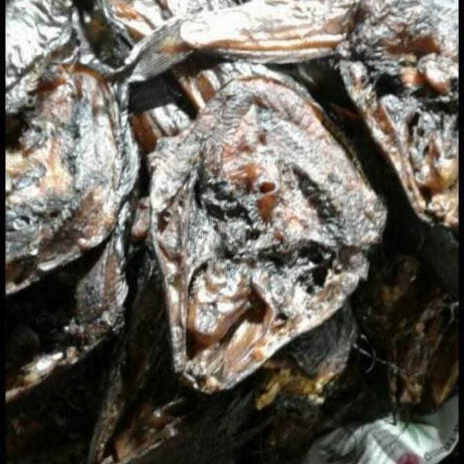 

Murah Ikan Sale Jumbo