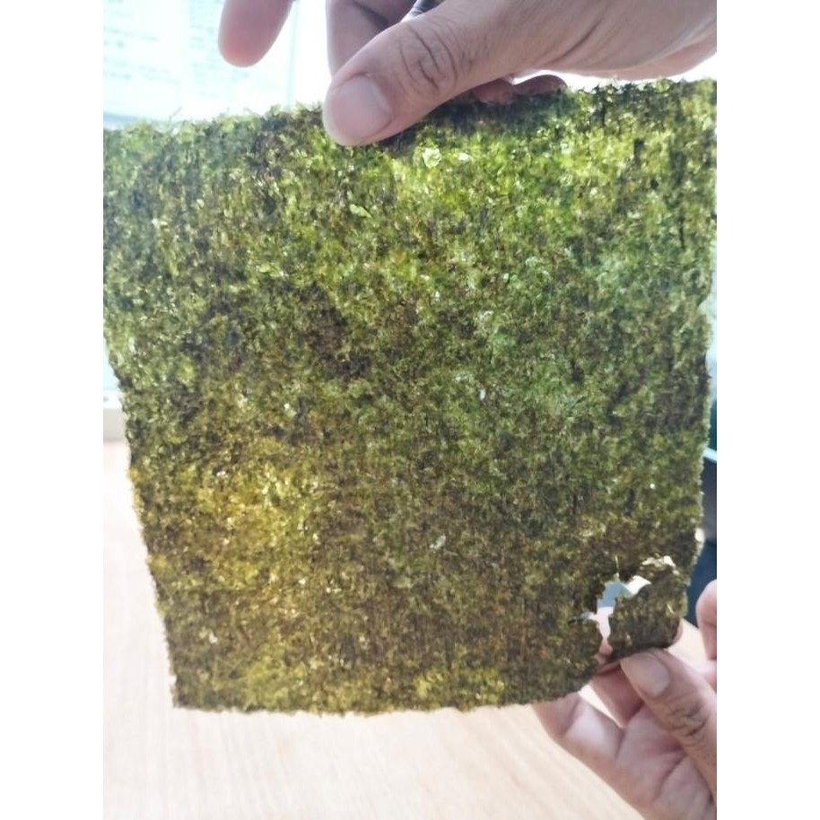 

Sale 50 Lembar Sushi Nori Reject Merk Tokinori Roasted Seaweed
