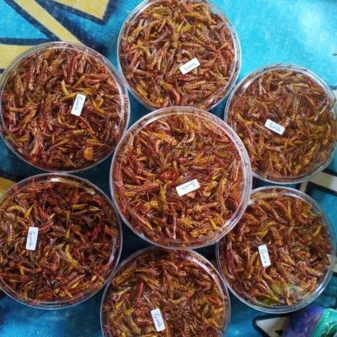 

BELALANG GORENG HARGA PAKET 100RB DAPET 4 TOPLES BISA PILIH2 RASA F67A