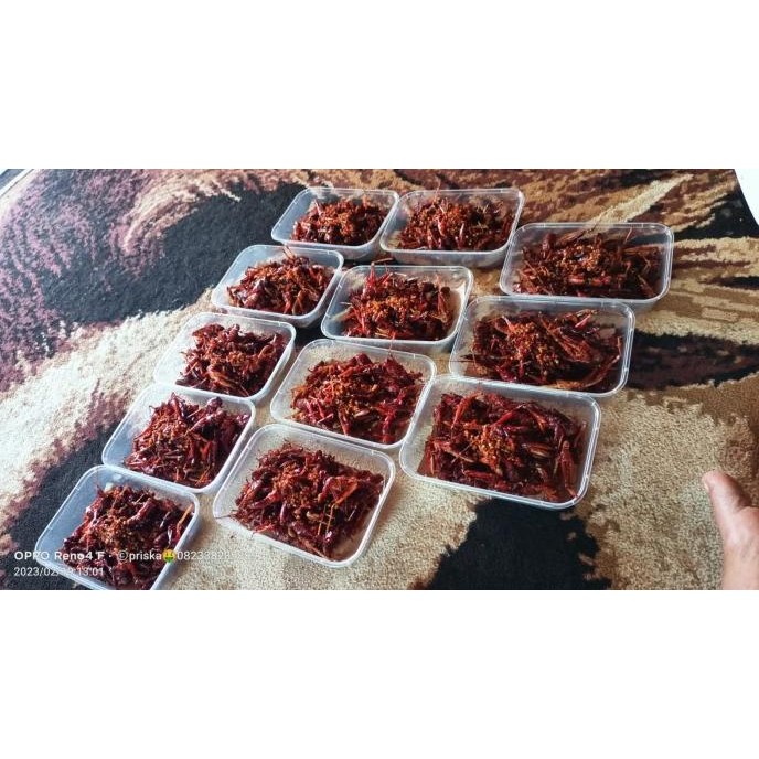 Walang goreng Belalang Goreng Khas Blora  -Pedas  Gurih F67A