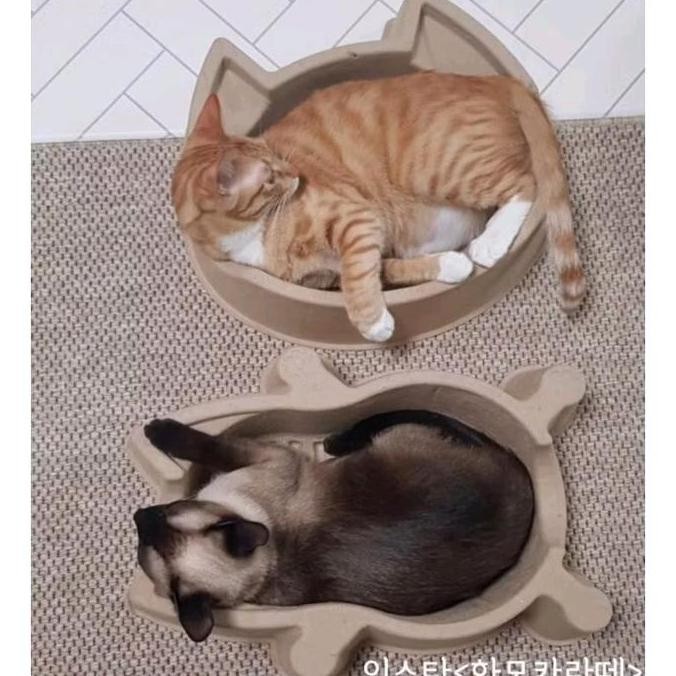 

NEW Cat Bang - Natural Paper Pulp Cat Nest/Tempat Tidur Kucing