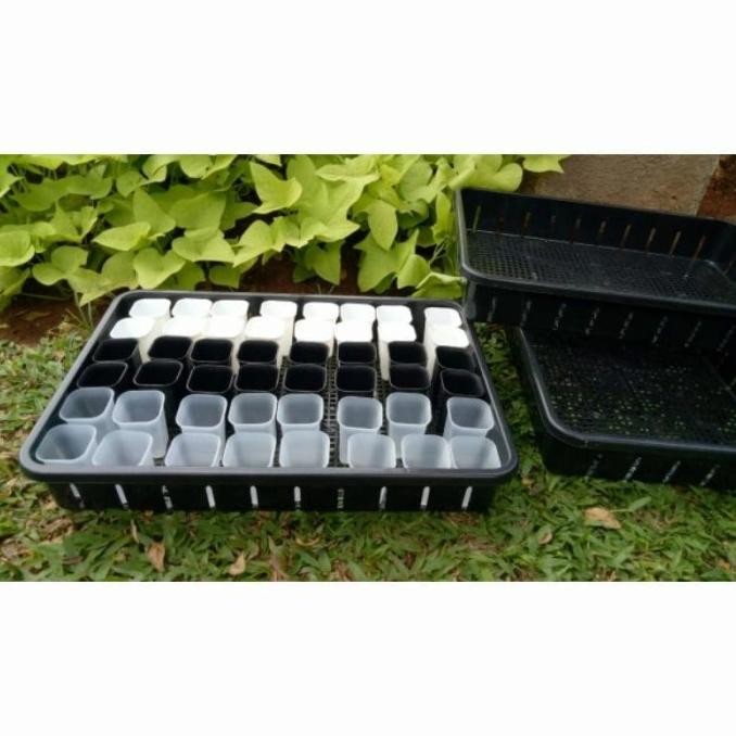 Tray 50 cm NKT + Pot kotak NKT 5 cm ( 40 pcs )