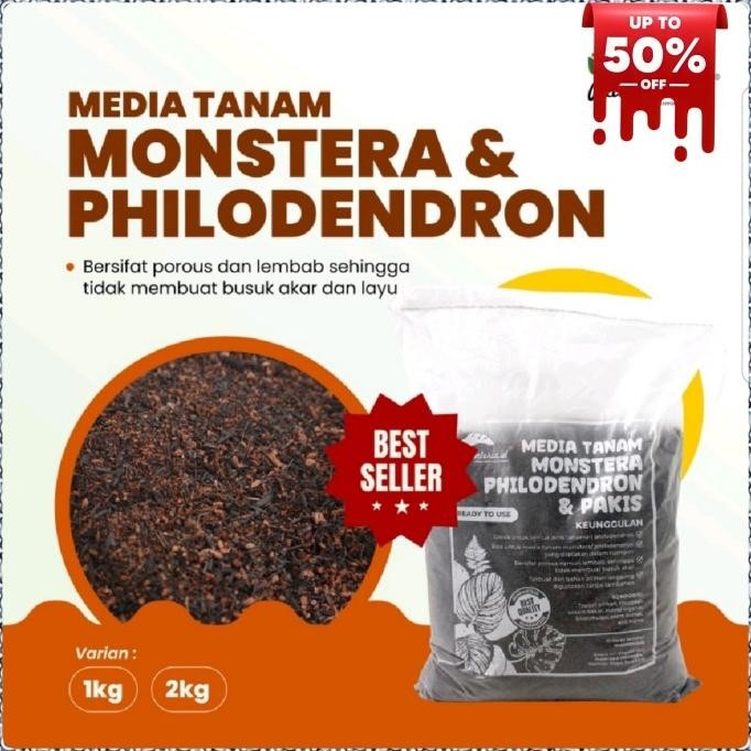 media tanam monstera philodendron siap pakai - media tanam monstera