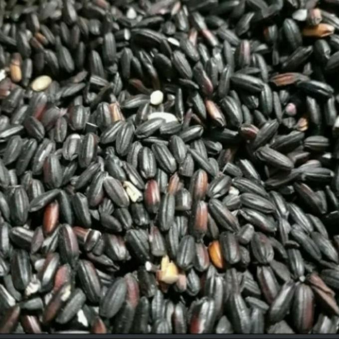 

Baru Beras Ketan Hitam per 1 liter