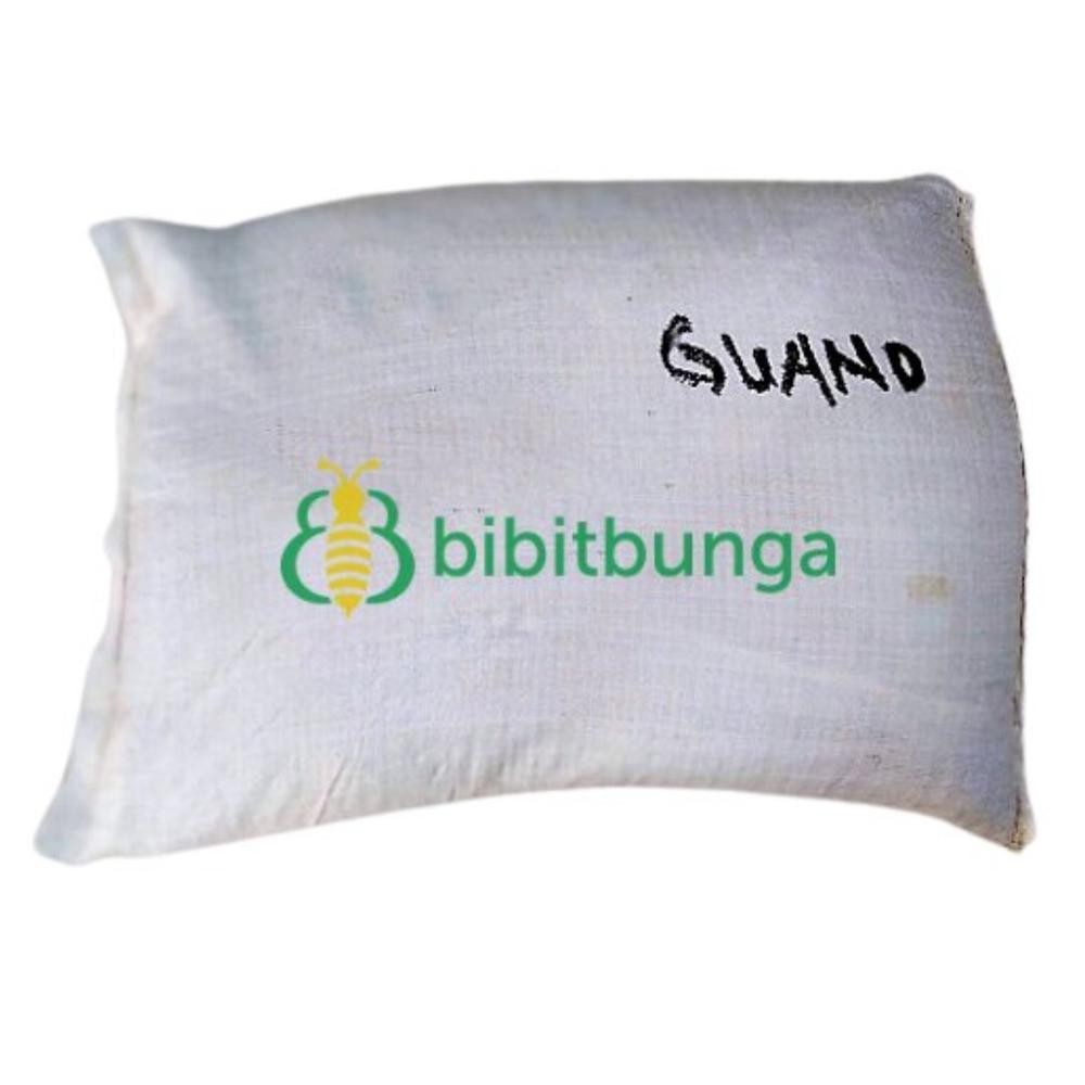 Pupuk Guano Kelelawar 1 Karung 20-25 kg NPK Organik Tanaman Kotoran