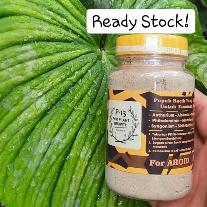 TERSEDIA Pupuk P13 AROID 320ml