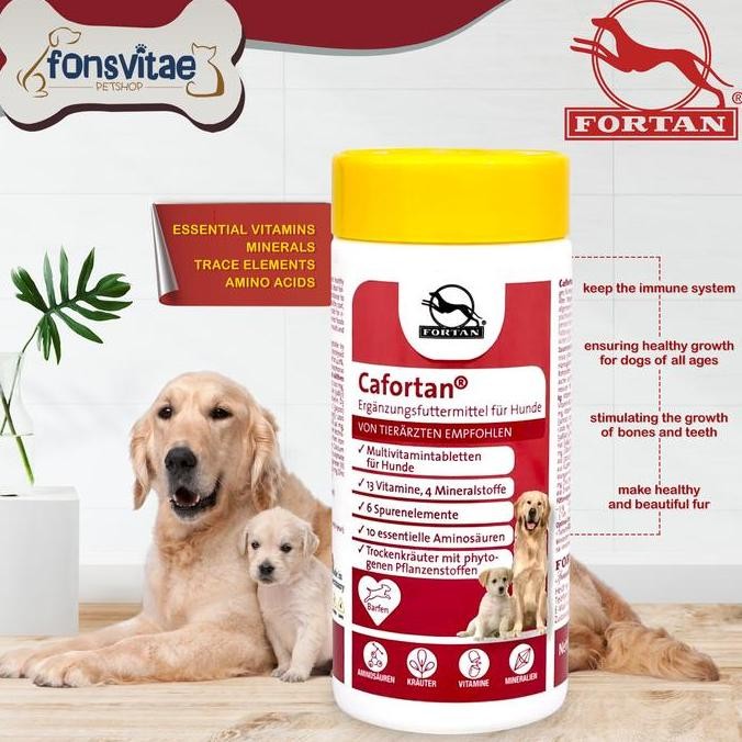 TERMURAH - Cafortan 1000gr - Multivitamin Anjing