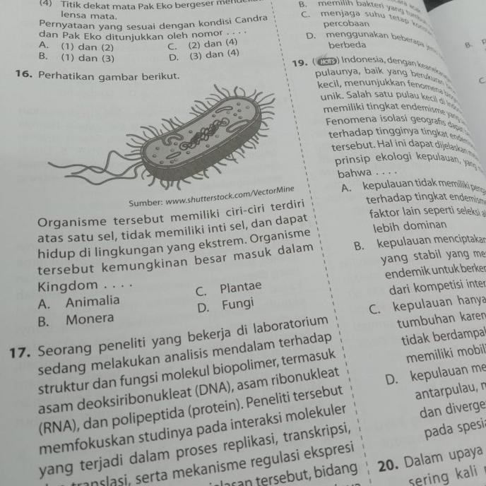 [[ DOBY / BUKU SOAL LATIHAN UJIAN SMP KELAS 9 ERLANGGA FOKUS SUMATIF SMP MTS BEST SELLER