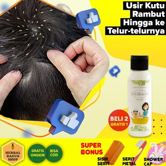 TERMURAH - Obat Kutu Rambut Alami Anak dan Dewasa, Shampoo Kutu Rambut Alami BPOM