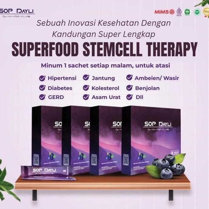 

TERLARIS - SOP DAYLI - Rasa Blueberry isi 15 sachet @15 gram