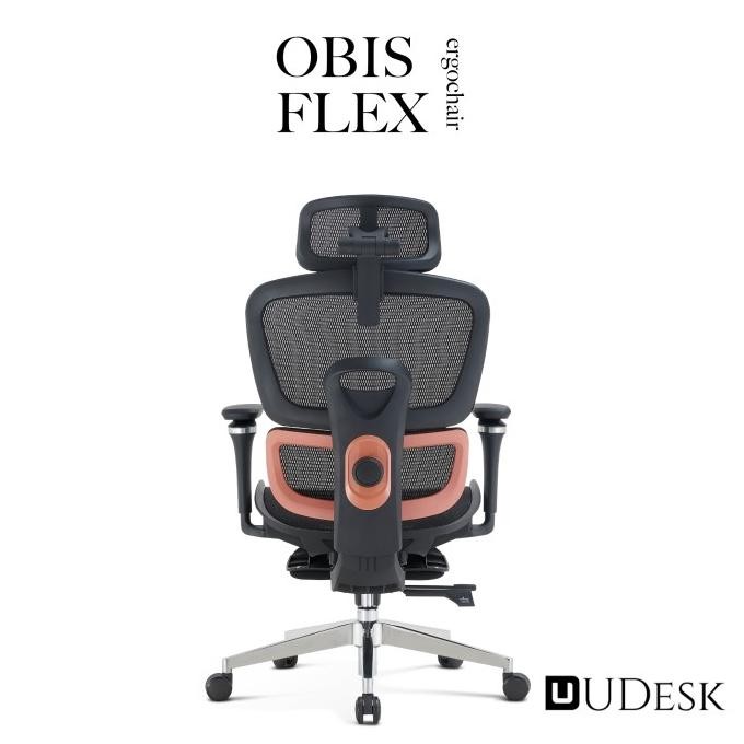Ergonomic Chair Obis Flex - Adjustable Lumbar Support Mesh Chair with Footrest