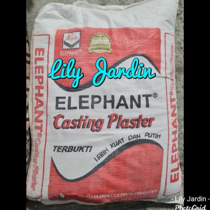 Open DS] Tepung Gips / Gipsum Powder - 1 zak