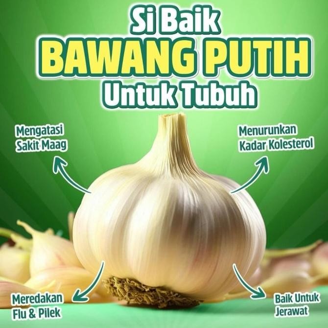 

BAWANG PUTIH SUPER 1KG SUDAH BERSIH/BAWANG PUTIH HONAN/BAWANG PUTIH KATING/BAWANG PUTIH SEGAR/BUMBU DAPUR/BUMBU MASAK/REMPAH/BAWANG PUTIH KUPAS/PROMO BAWANG PUTIH MURAH