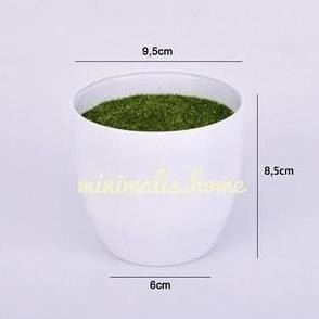 Pot Plastik Model Bulat untuk Tanaman Hias dan Vas Bunga Artificial Putih Include Busa Lumut Palsu