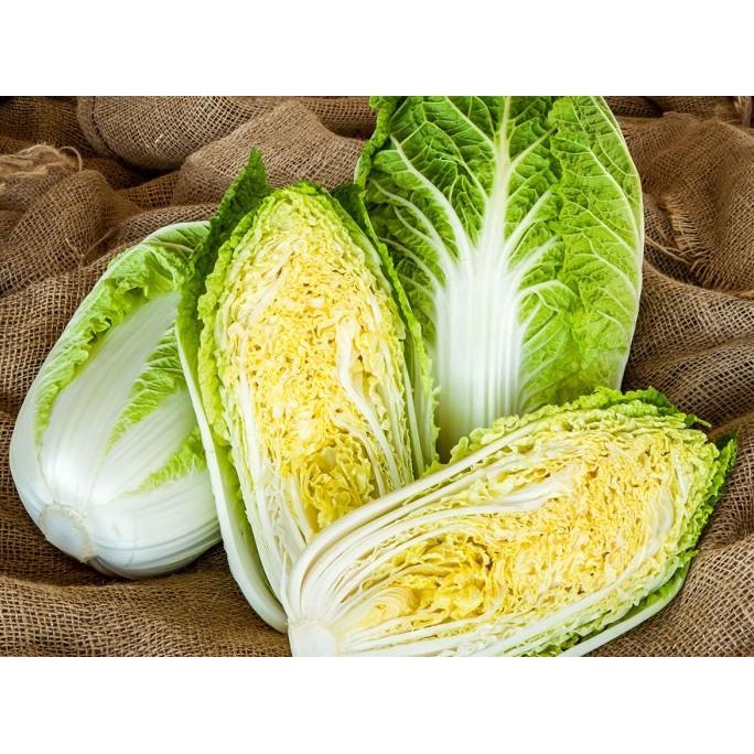 

Benih / Bibit / Biji - Sawi Putih (Chinese Cabbage) F1 Hibrida murah