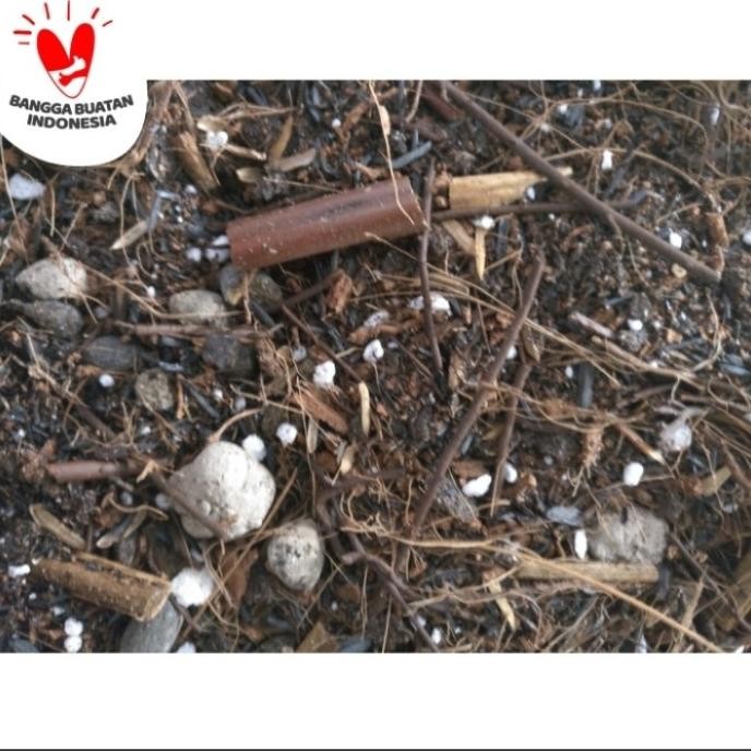 

Terlaris Media Tanam Poros Untuk Tanaman Hias Dan Herbal - Pupuk Subur