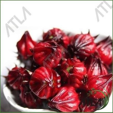 

Terlaris Benih Tanaman Bunga Rosella Merah 10Gram Bibit Biji Teh Herbal Rosela