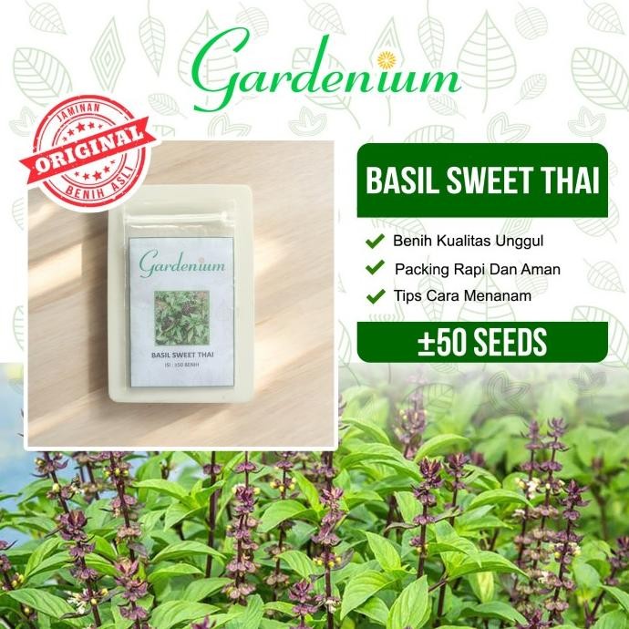 

Terlaris Gardenium Benih Basil Sweet Thai Tanaman Sayuran Herbal