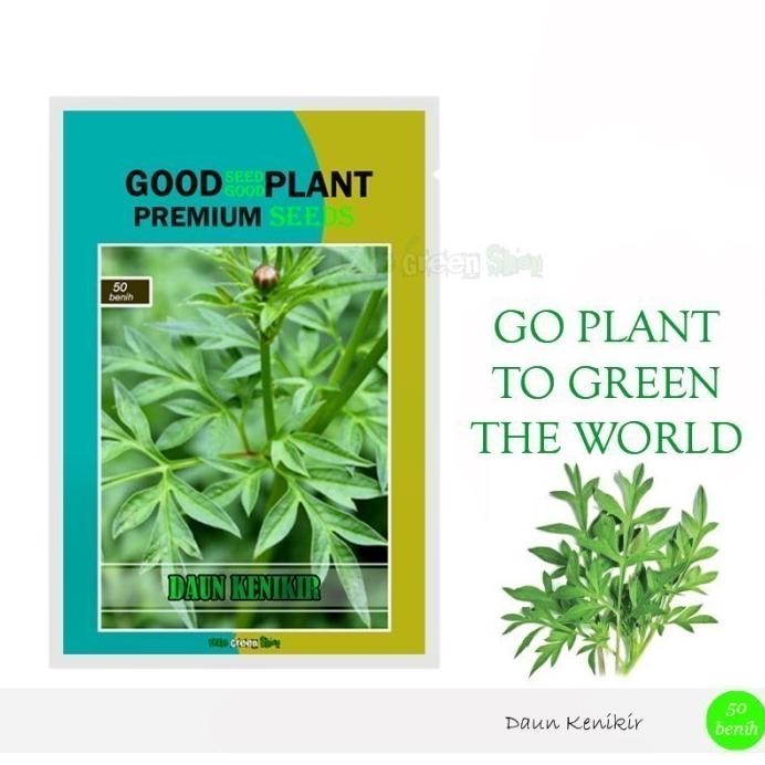 

Terlaris 50 Biji - Benih Bibit Daun Kenikir Tanaman Herbal Okefarm