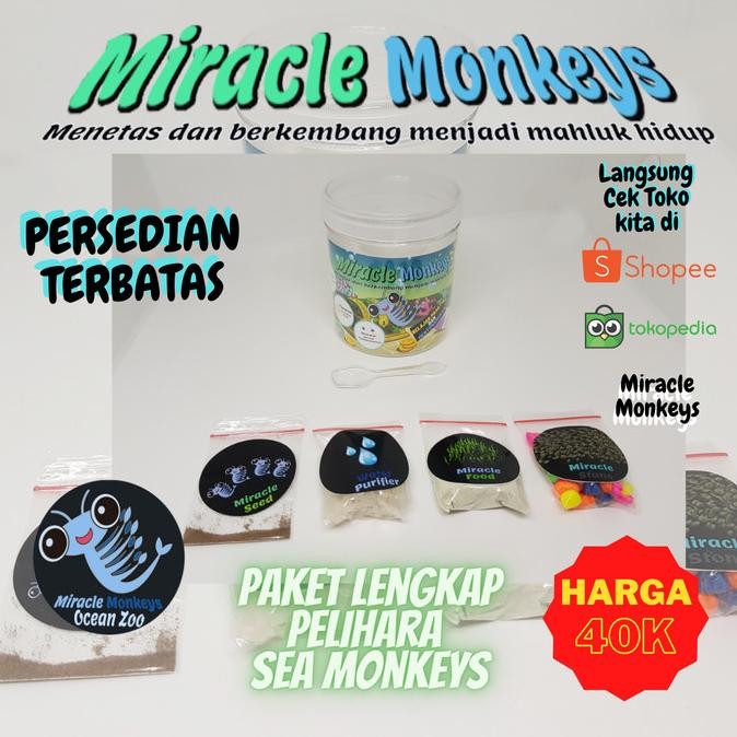 Miracle Monkeys - Peliharaan Ajaib Sea Monkey