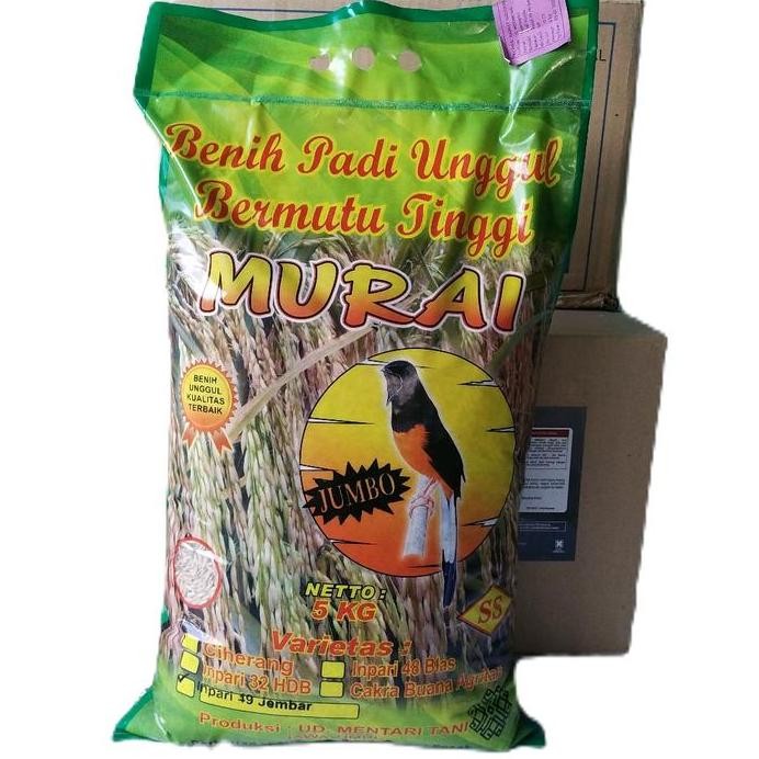 

Terlaris Inpari 49 Jembar Cap Murai 5 Kg Label Ungu. Benih Padi Unggul Bermutu Tinggi. Padi. Daun