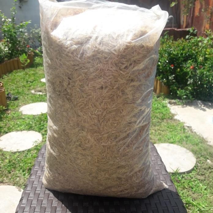 

Terlaris Media Tanam Sekam Padi Mentah Murni