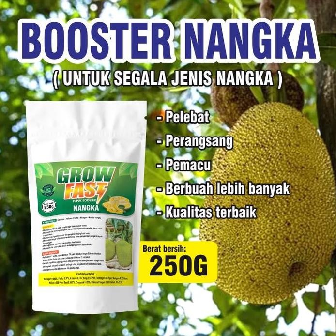 

Terlaris Pupuk Organik Booster Perangsang Nangka Serbuk Terbaik Agar Cepat Berbuah Lebat,Pupuk Organik Penyubur Nangka Anti Rontok