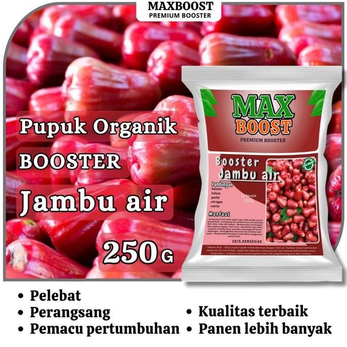 

Terlaris Pupuk Booster, Pupuk Maxbost Pelebat Organik Perangsang Buah Jambu Air,Kristal,Bol,Jamaika Cepat Berbuah Lebat Walapaun Belum Musim, Kemasan 250Gr Pelebat Pemacu Tumbuh Penyubur Tanah