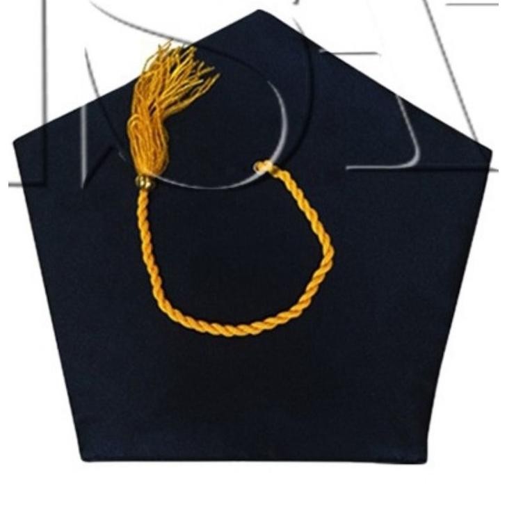 Topi Toga Wisuda Anak Paud Dan TK